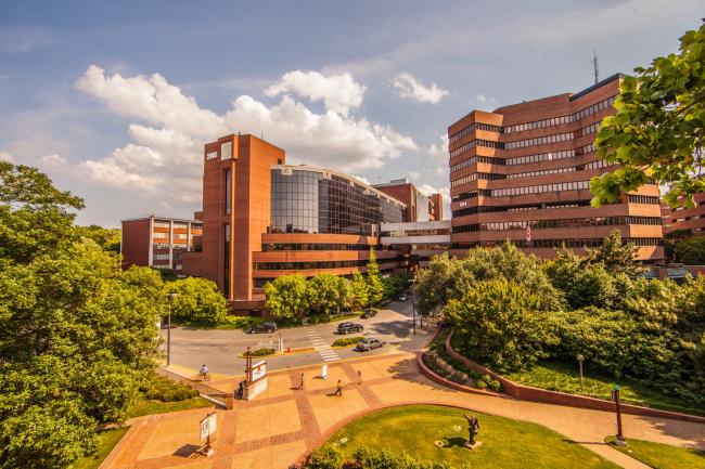 Vanderbilt University